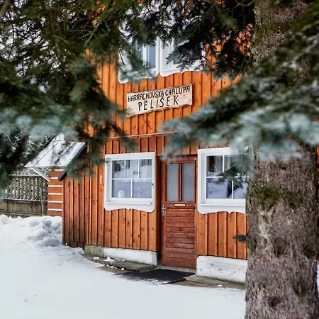 Pelisek Harrachov